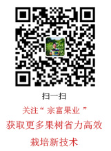 移動(dòng)端二維碼